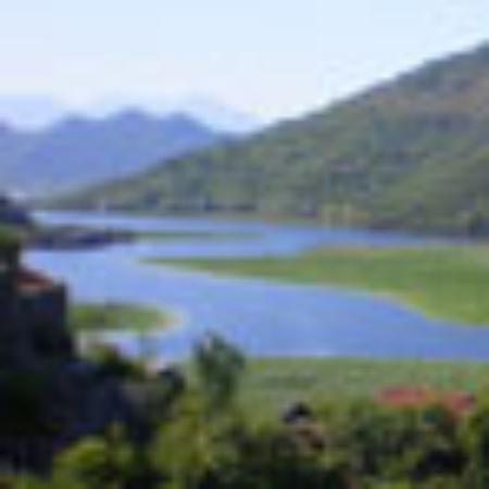 Aguadalto