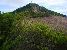 Pico do Castelo