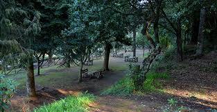 Pico das Pedras