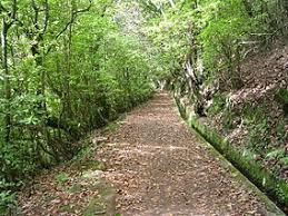 Madeira Natural Park