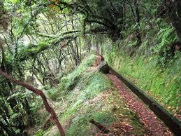 PR18 Levada Do Rei