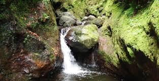 HP16 Levada Faja do Rodrigues