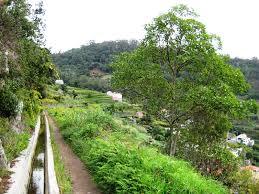 Levada dos Marocos