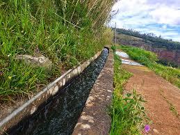 Camacha - Levada do Caniço
