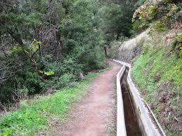 Levada do Canical