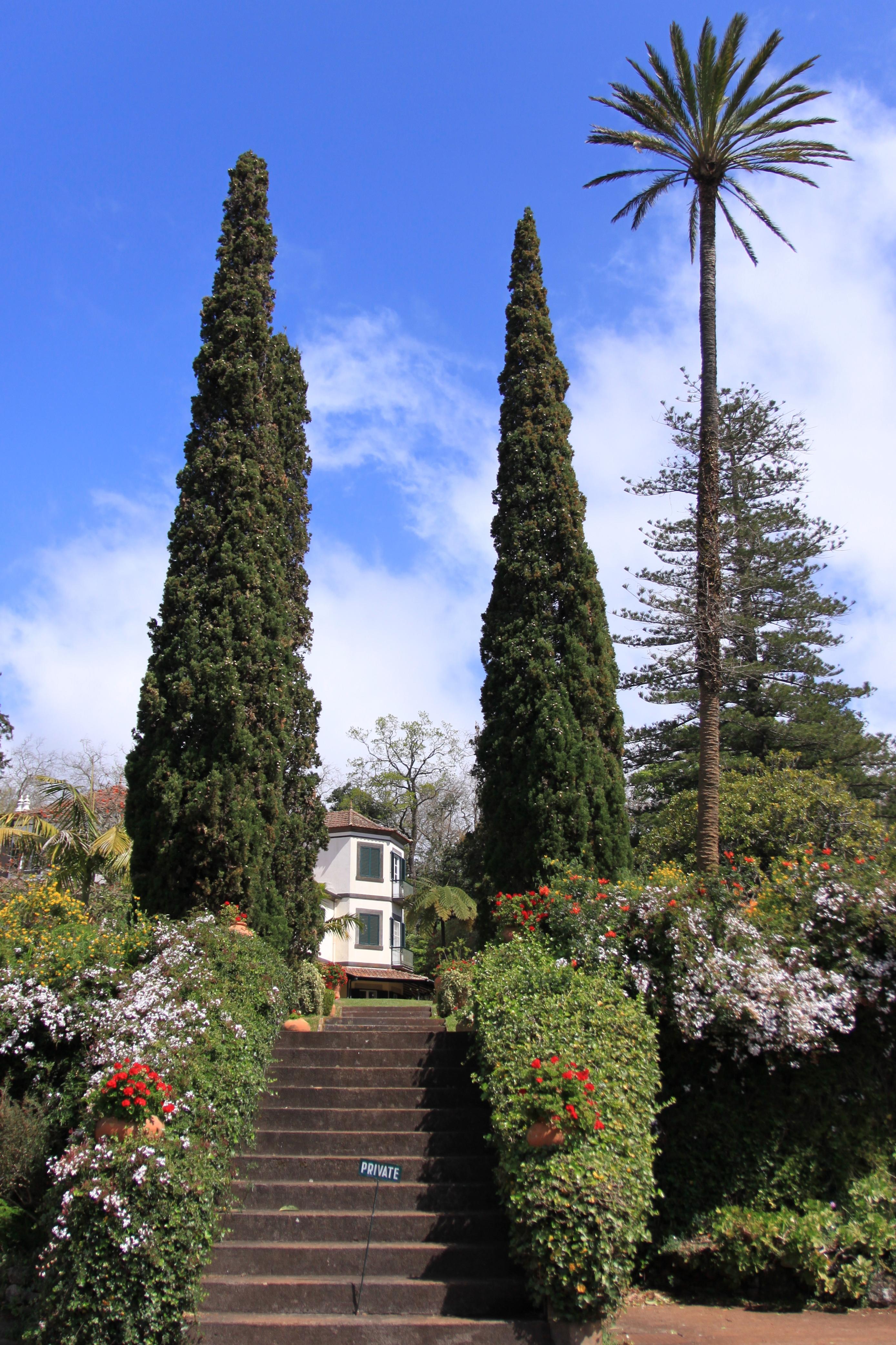 Jardins da Quinta do Palheiro Ferreiro