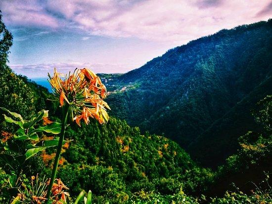 Levada Ribeira de Janela