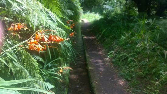 Levada Do Rei