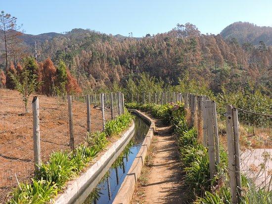 Levada Nova