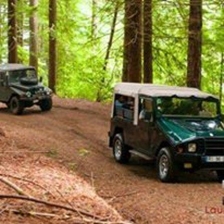 Madeira Nature Offroad