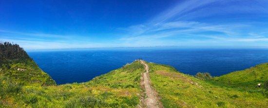 Walkme Madeira Levadas