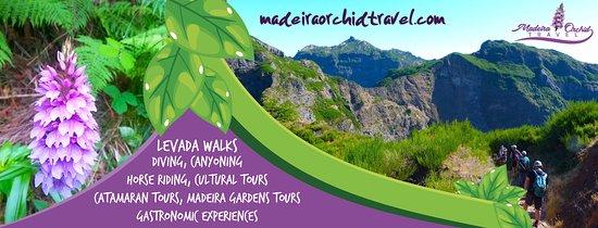 Madeira Orchid Travel