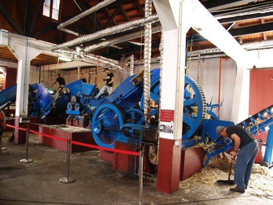 Companhia dos Engenhos do Norte