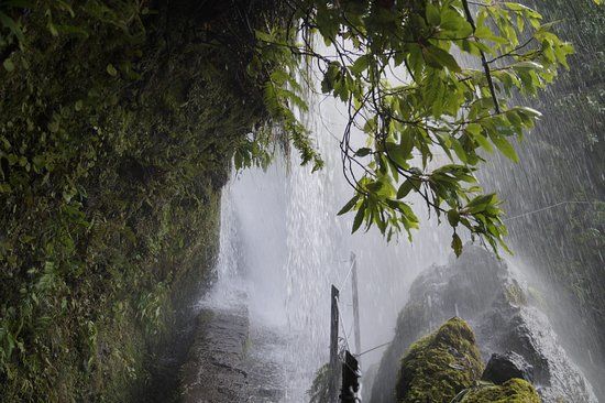 Parque Forestal Das Queimadas